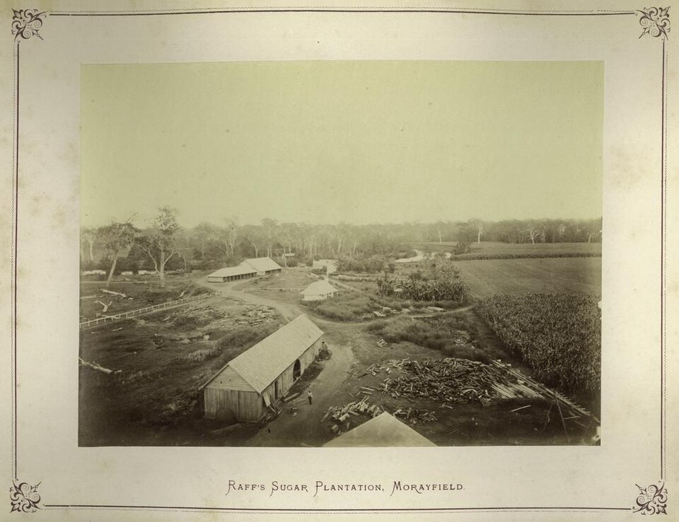 Raff's Sugar Plantation near Caboolture, 1874 — the area's early industrial roots